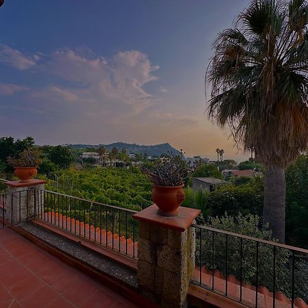 Il Vitigno Di Dioniso Hotel Forio  Bagian luar foto