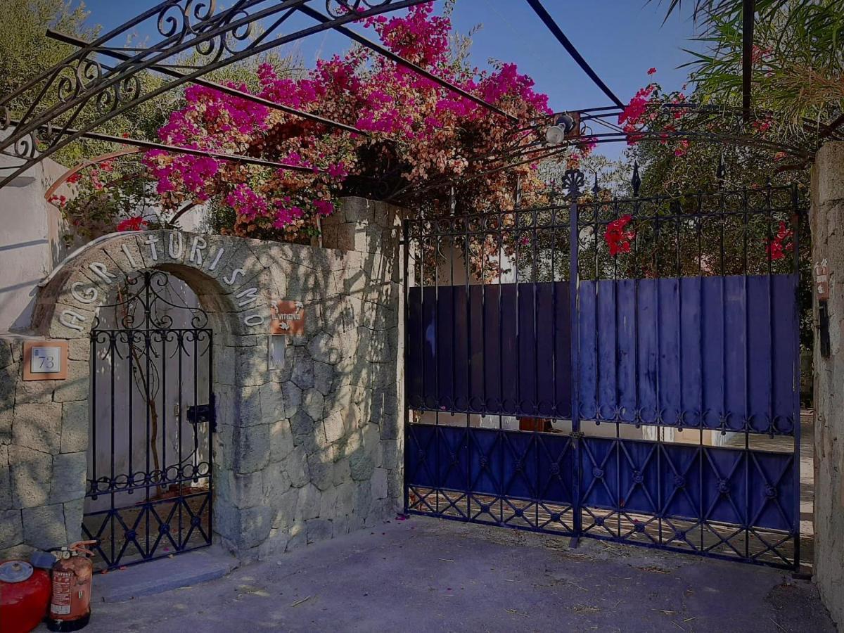 Il Vitigno Di Dioniso Hotel Forio  Bagian luar foto
