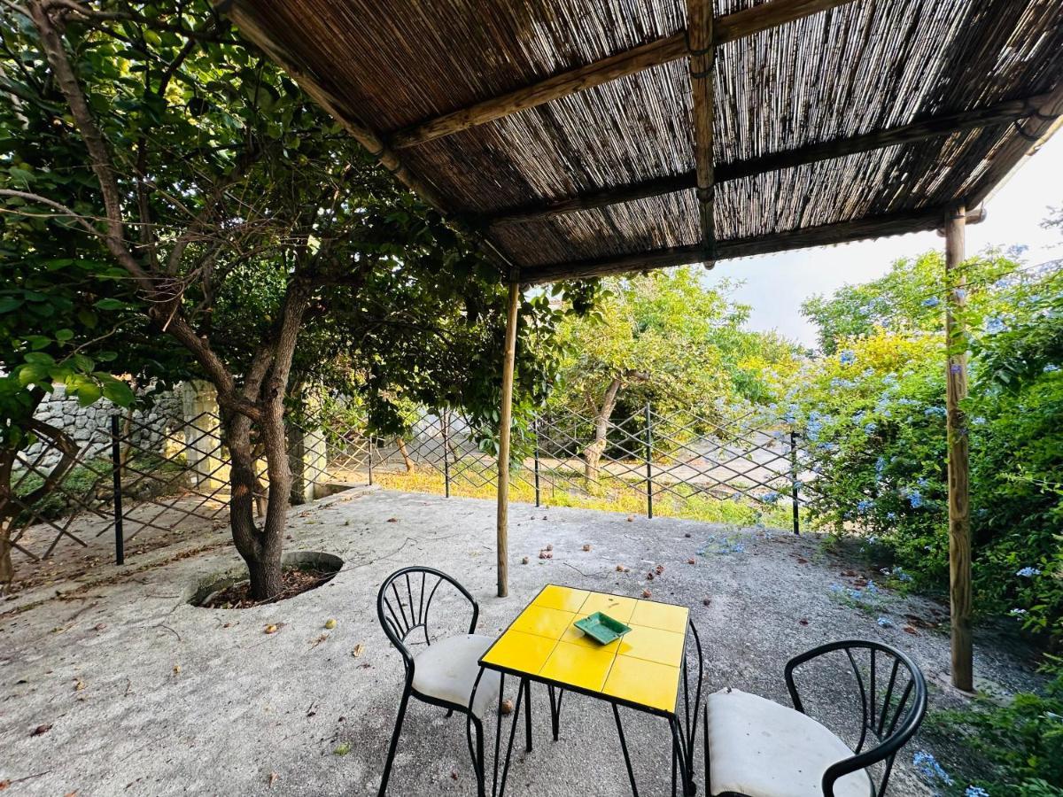 Il Vitigno Di Dioniso Hotel Forio  Bagian luar foto