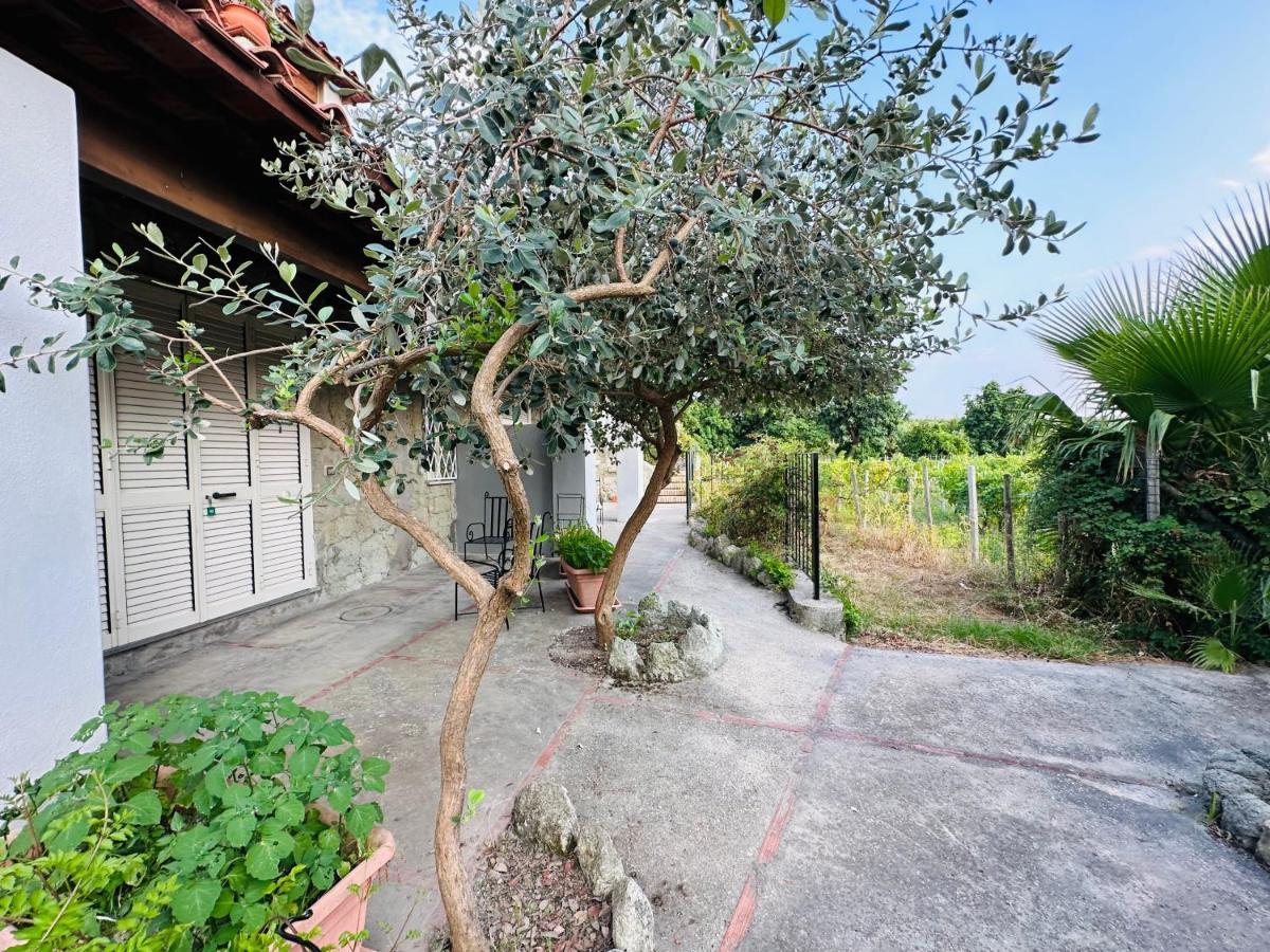 Il Vitigno Di Dioniso Hotel Forio  Bagian luar foto