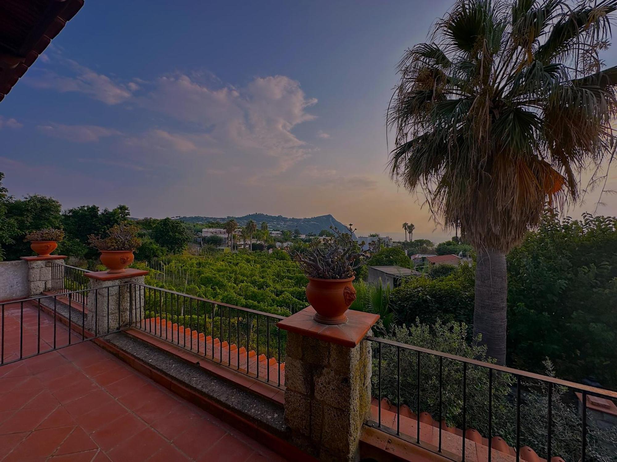 Il Vitigno Di Dioniso Hotel Forio  Bagian luar foto